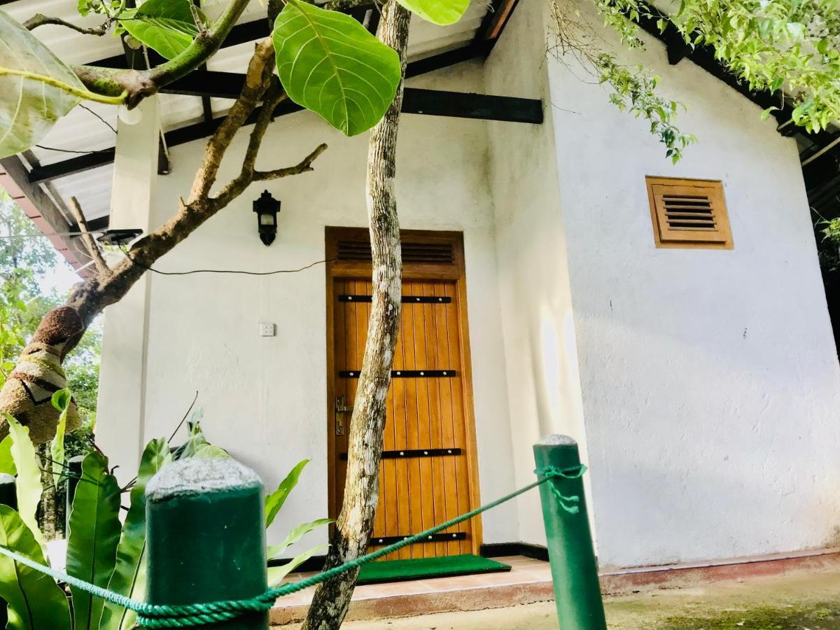 Ella Ostella Hostel Bagian luar foto