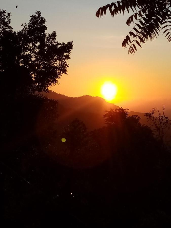 Ella Ostella Hostel Bagian luar foto